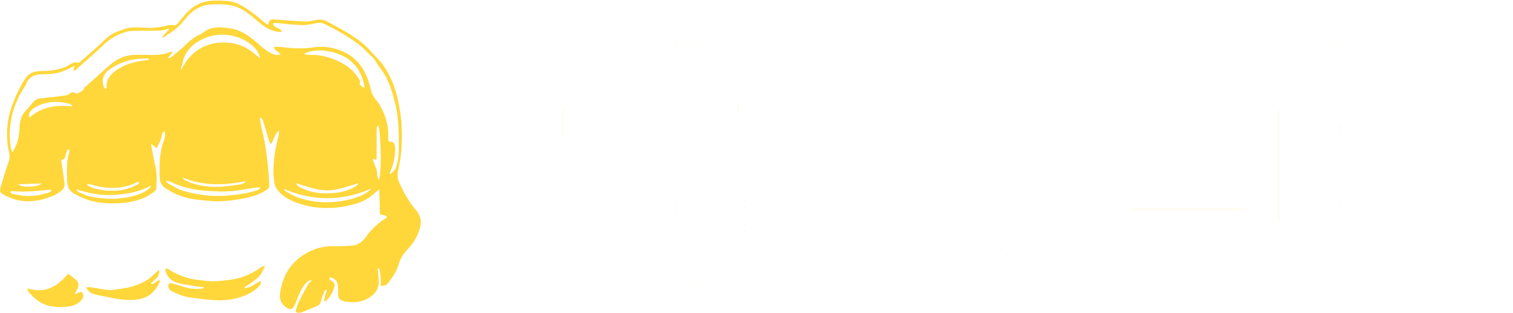 BKFC